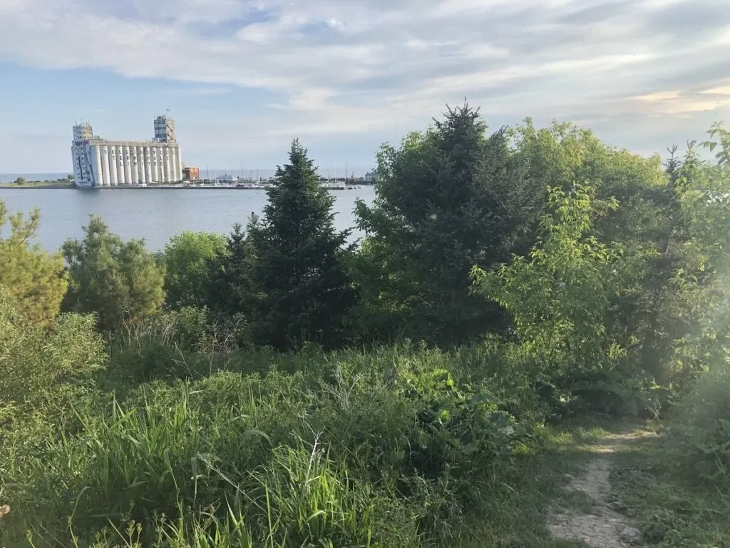 Starting your day 'on the right foot' begins with an outdoor walk in nature.